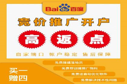 SEM代运营服务公司案例分析：数据驱动营销策略